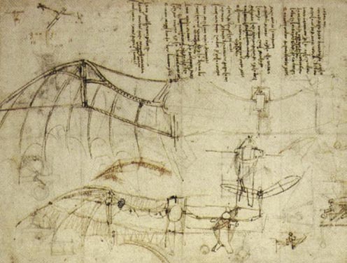 Leonardo da Vinci’s ornithopter wings